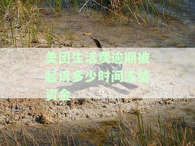 美团生活费逾期被起诉多久会冻结资金？