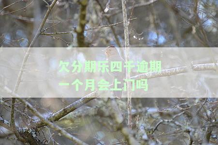 分期乐逾期四百多天会被起诉吗？贷款诈骗风险大！