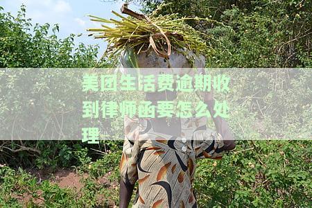 美团生活费逾期收到律师函要怎么处理呢，美团生活费逾期收到律师函？如何应对？