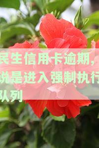 民生银行强制执行，民生银行遭强制执行，涉违规行为引发关注