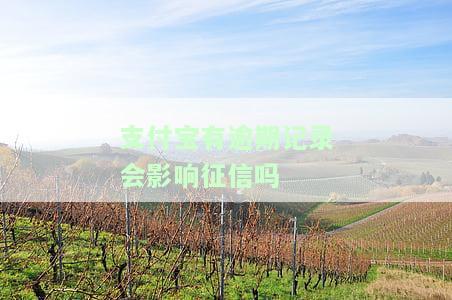 支付宝有逾期记录会影响征信吗-支付宝有逾期记录会影响征信吗还能贷款买房吗