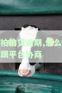 拍拍贷逾期,怎么跟平台协商期还款，如何与拍拍贷协商期还款？逾期解决方案解析