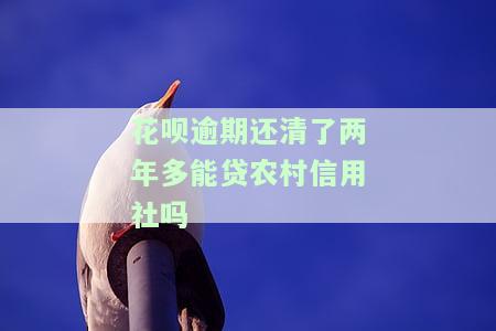 花呗逾期两年多还了款影响贷款买车吗，花呗逾期两年多还款后，是否会影响贷款购车？