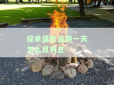 保单借款逾期一天怎么算利息多少，如何计算保单借款逾期一天的利息？