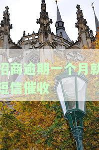 招商逾期一个月就短信催收是真的吗，是否真实？招商逾期一个月即收到短信催收的情况探讨