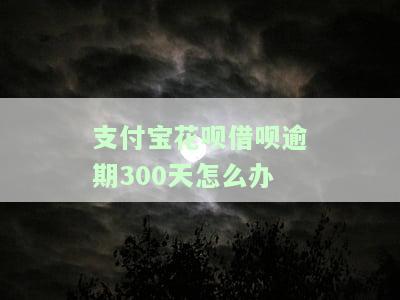 支付宝花呗借呗逾期300天怎么办-支付宝花呗借呗逾期300天怎么办理