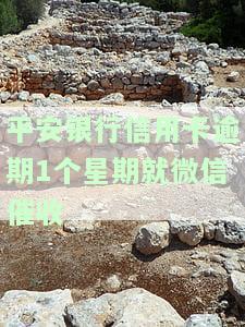 平安银行信用卡逾期1个星期就微信催收，是否会立案？