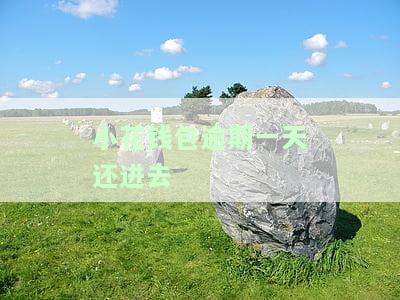 小花钱包逾期一天还进去
