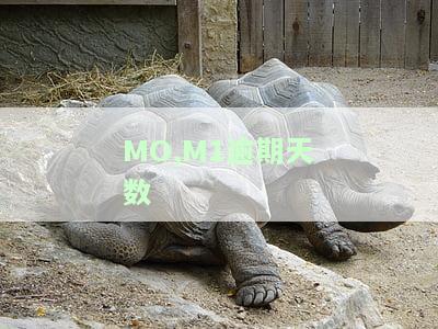 m1时逾期天数，管控逾期风险：如何有效应对m1时的逾期天数？