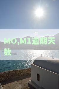 逾期阶m1有什么区别，理解逾期阶M1：区别和含义解析