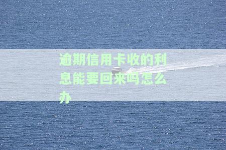 逾期信用卡收的利息能要回来吗？如何办理手续及计算方法？