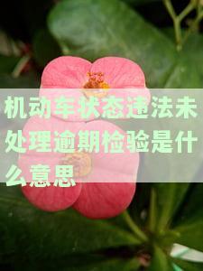 机动车状态违法未处理是什么意思？影响年检吗？该如何解决逾期未检验的问题？