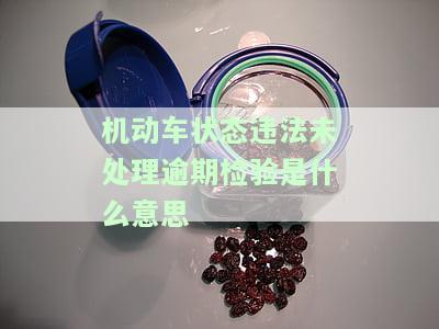 机动车状态违法未处理逾期检验是什么意思-机动车状态违法未处理逾期检验是什么意思啊