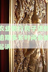 农业银行房子贷款逾期多长时间会被起诉成功，逾期多久会被告？——农业银行房贷逾期被起诉的时间解析