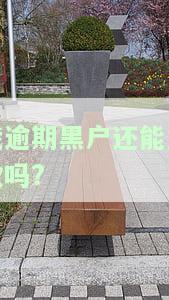 逾期黑户影响下一代吗，逾期黑户是否会影响下一代？探讨其可能的后果与解决方案
