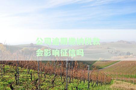 公司逾期缴税会产生哪些影响？包括但不限于对征信的影响、需要承担的罚款及可能的法律后果。