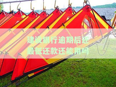 建设银行逾期一个月还了最低额，卡片能否继续使用？安全性如何保障？解决方案是什么？