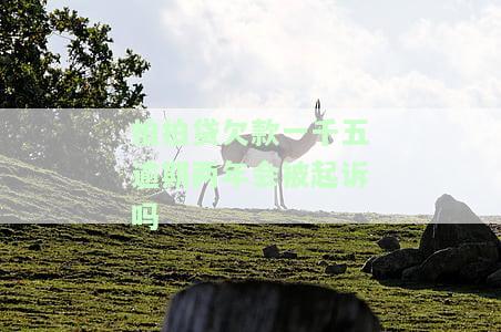 欠拍拍贷2000逾期一年多了会起诉我吗，欠拍拍贷2000元逾期一年多，可能会被起诉吗？