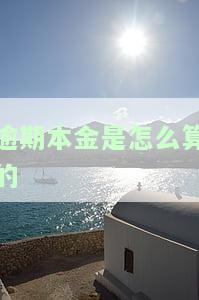 逾期本金是怎么算的利息，揭秘逾期本金的计算方法：利息如何产生？