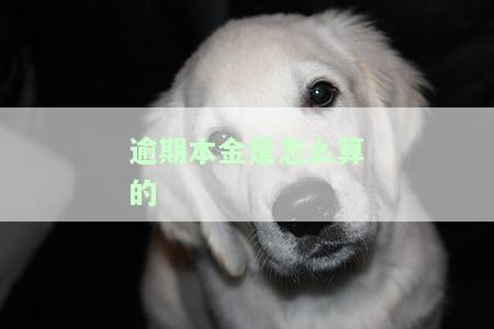 逾期本金是怎么算的