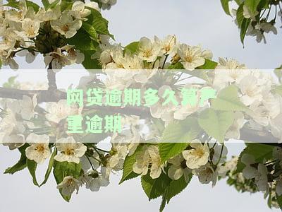 网贷逾期多久算严重逾期-网贷逾期多久算严重逾期呢