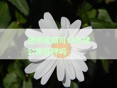 借呗逾期可以办理公寓抵押吗安全吗，借呗逾期是否可以安全办理公寓抵押？
