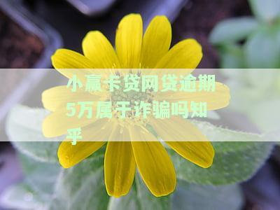 小赢卡贷网贷逾期5万属于诈骗吗文章，警惕！小赢卡贷网贷逾期5万元不等于诈骗，但需注意法律责任