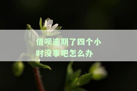 借呗逾期4天怎么办？后果严重，能否继续使用？