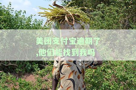 美团支付宝逾期后，能否继续借款？坐车出行会受影响吗？