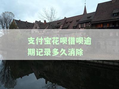 支付宝花呗借呗逾期会产生什么后果？如何解决？