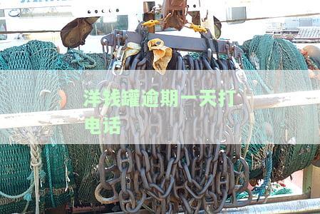 洋钱罐逾期一天还进去，能否再借款及取出？2021年经验分享
