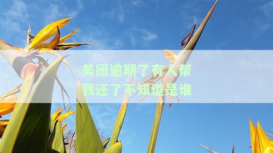 美团逾期了有人帮我还了不知道是谁还的，神秘人帮我偿还美团逾期，身份成谜