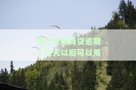支付宝网商贷逾期两天以后还有额度吗，关于网商贷逾期两天后的额度问题，你必须知道的事情！