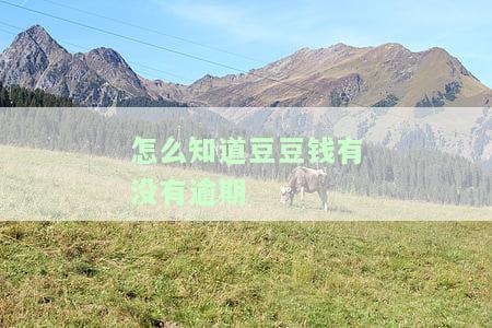 怎么查豆豆钱还款记录、放款方、额度及个人信息是否已更新？