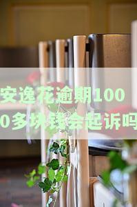 安逸花逾期1000多块钱会起诉吗，安逸花逾期1000多元是否会被起诉？