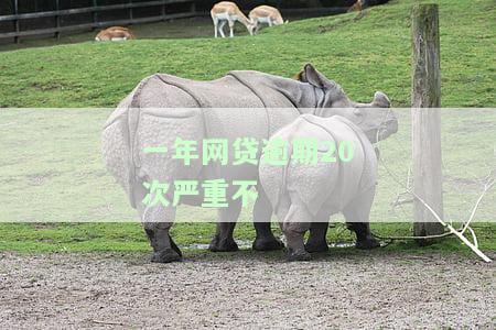 网贷一年逾期10次会怎么样，警惕！网贷一年逾期10次可能带来的严重后果