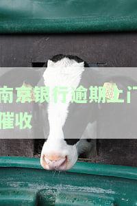 南京银行上门追讨，南京银行上门催债：债务人面临压力与困扰