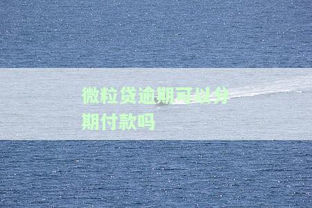 微粒贷逾期可以分期还款吗？如何申请及最多可分几期？