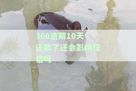逾期10天还款，会否影响下次借款、贷款买房？可能被起诉吗？逾期10天100多块是否会影响征信？逾期13天是否会要求一次性还款？