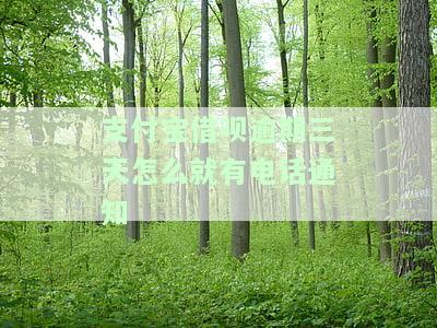 借呗逾期三天了会接到电话吗，借呗逾期三天，会接到催款电话吗？