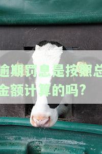 逾期罚息按总金额计算吗？详解计算方法与规则