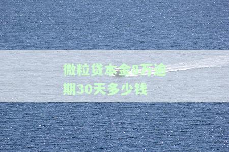 微粒贷本金8万逾期30天利息多少？逾期多久会被告上法庭？
