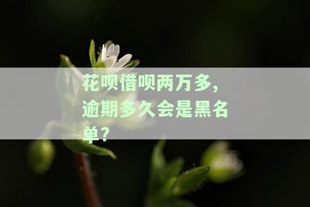 花呗借呗两万多,逾期多久会是黑名单?-花呗借呗两万多,逾期多久会是黑名单呢