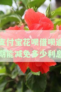 支付宝花呗逾期能否减息？协商还款仅限本金？