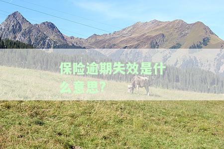 保险逾期失效是什么意思啊，保险逾期失效：理解这一重要概念