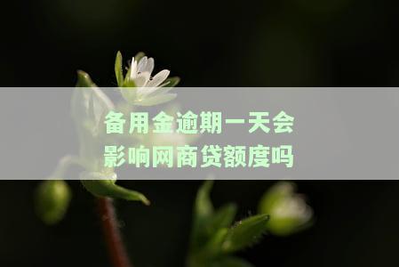 备用金逾期一天是否会影响其他网贷及个人信用？