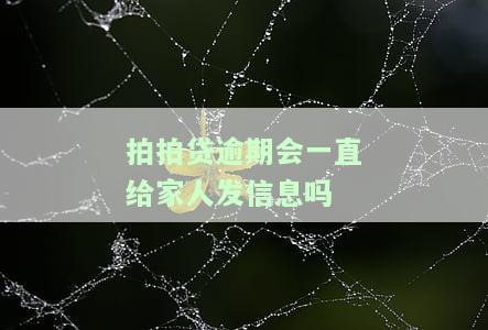 拍拍贷逾期会打电话给通讯录的人吗？安全吗？逾期多久会打？