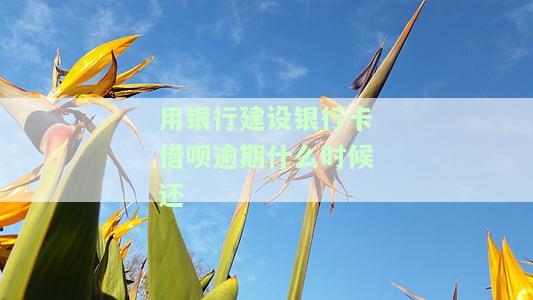 用银行建设银行卡借呗逾期什么时候还