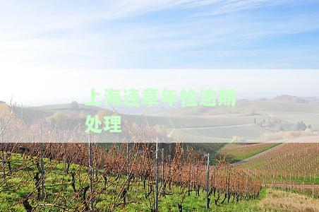 上海交通违章逾期新规定解读与处罚全知道，包括滞纳金及查询期限等信息