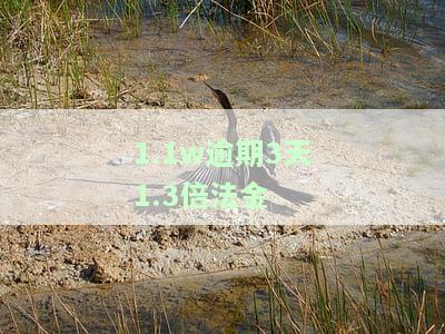逾期1.5倍是多少钱？计算方法、费用及法律依据全解析